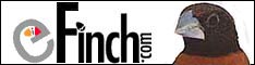 eFinch banner