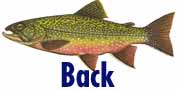 Back to Aquarium Page